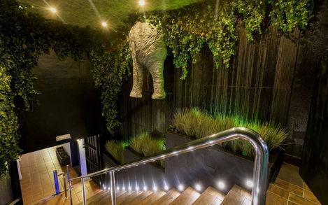 Hen weekend bottle service rooftop Pangea Puerto Banús Spain