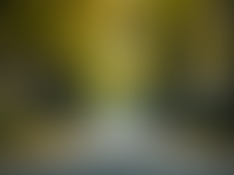 Your Neighborhood Specialist and Partner, Ask Agent Alex