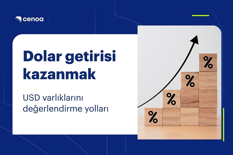 dolar getirisi kazanmak yükselen grafik