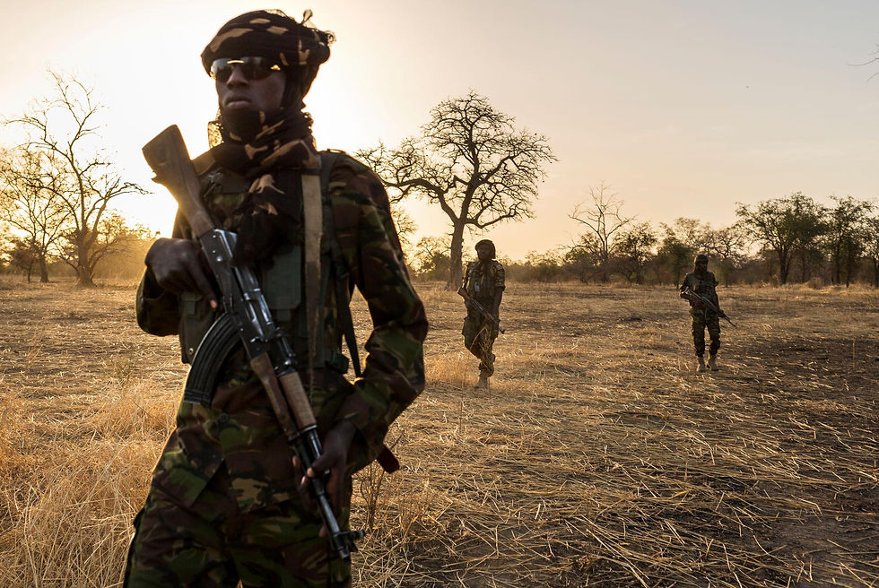 Armed ranger in camouflage standing in dry grassland