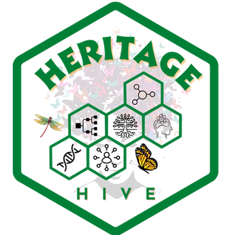 Heritage Hive Logo (no bg).png