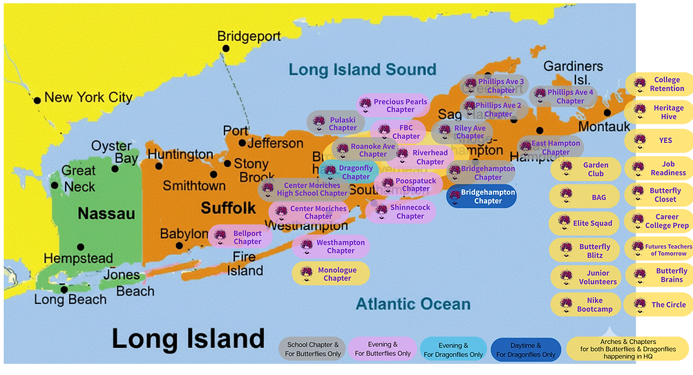 Website banner (24).png