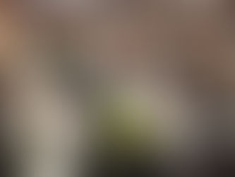 Saint of The Day 9/20/22: Saints Andrew Kim Taegon, Paul Chong Hasang, and Companions