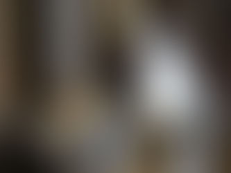 Saint of The Day 10/31/22: Saint Wolfgang of Regensburg