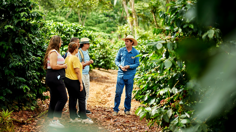 sustainable regional development and regenerative