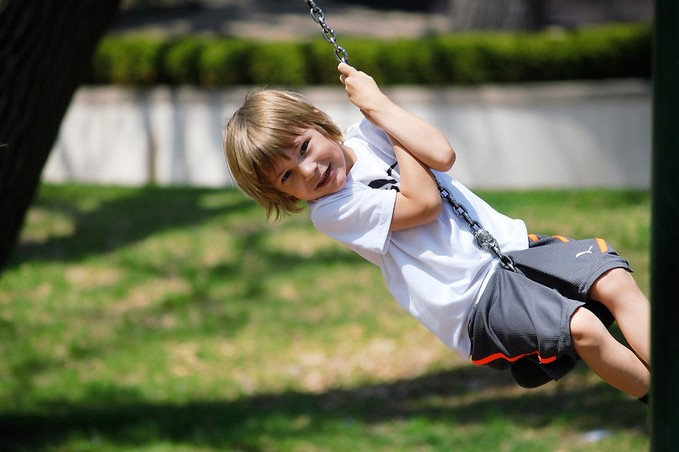 swing-g57fc72c6c_1920.jpg