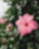 georgia-de-lotz-bS--fjzV0po-unsplash.jpg