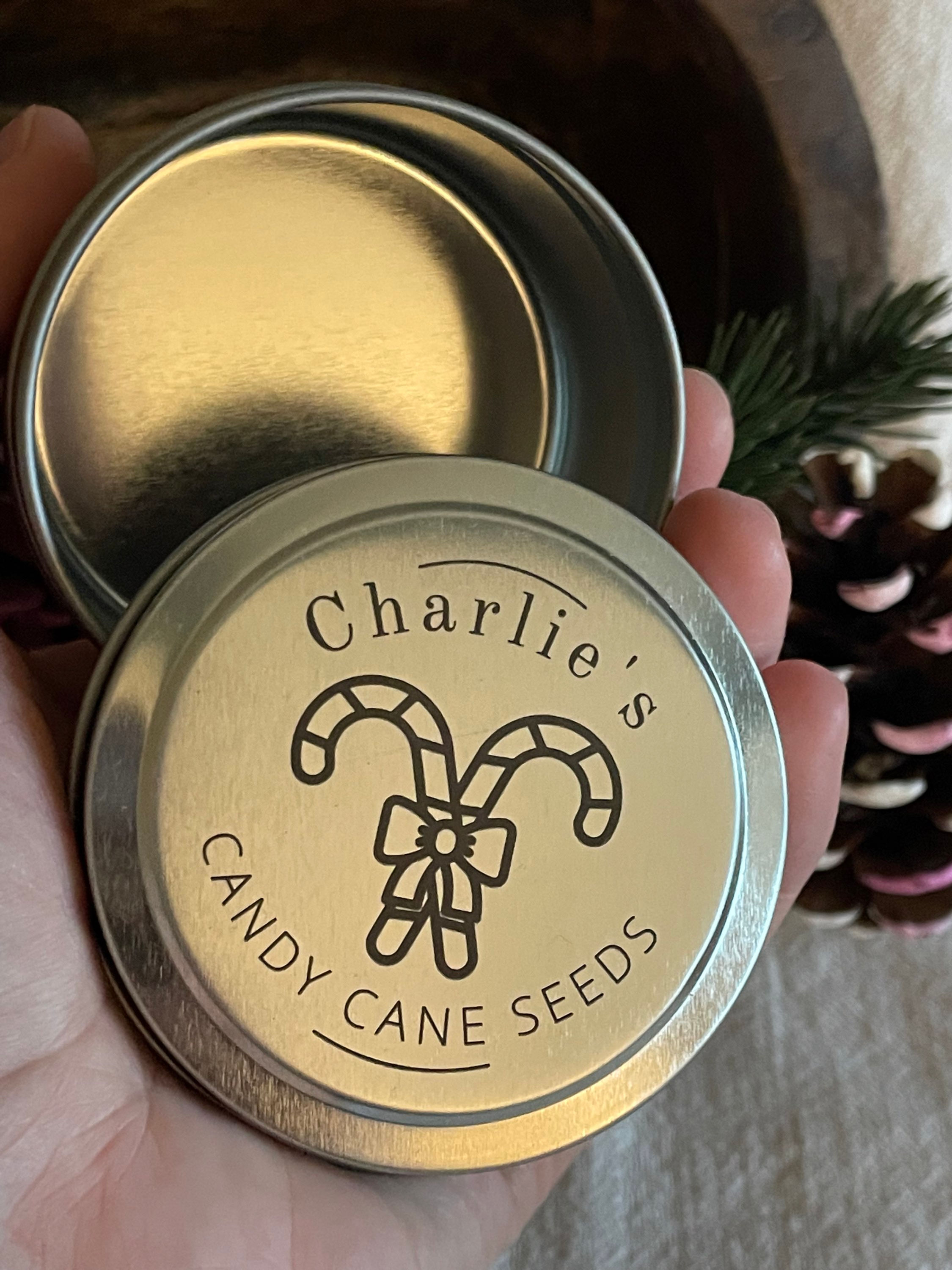 Christmas Candy Cane Seed Keepsake Tin | Candy Cane Plant | Secret Santa Gift