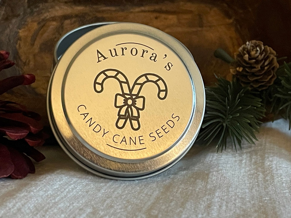 Thumbnail: Christmas Candy Cane Seed Keepsake Tin | Candy Cane Plant | Secret Santa Gift