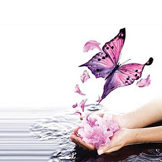 Writer: Brenda Humphrey