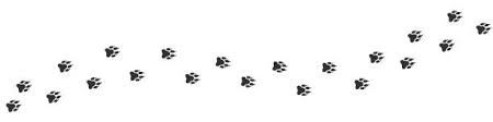 dog paw prints