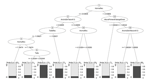 Decision Tree algorithm to predict footwear sizing