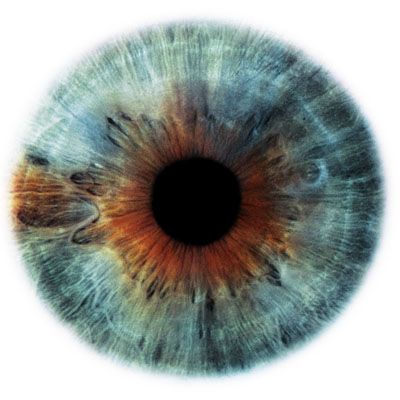 human_eye_enlarged_8.jpg
