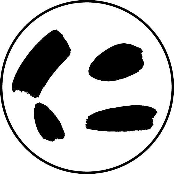 たねに