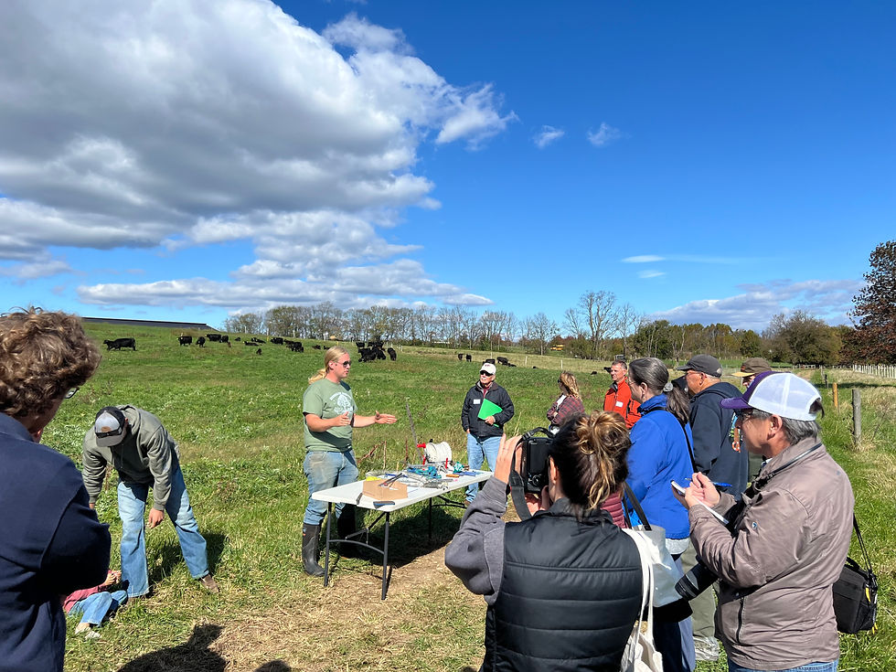 Beyond Sustainable — Regenerative Farm Tour