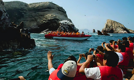 Foto paracas.png