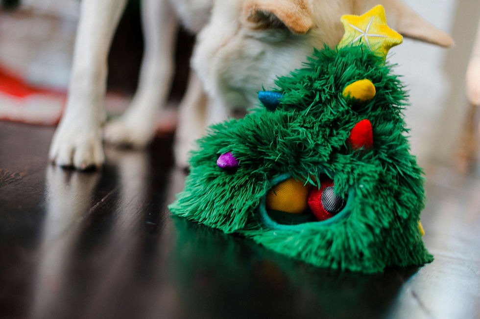 Thumbnail: P.L.A.Y. Doglas Fur Christmas Tree Eco Dog Toy