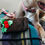 Thumbnail: P.L.A.Y. Yummy Yuletide Log Eco Dog Toy