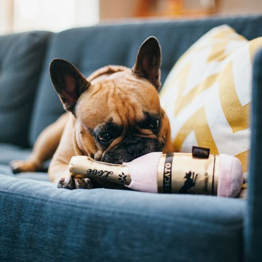 Thumbnail: P.L.A.Y. Barking Bubbly Muttscato Eco Dog Toy