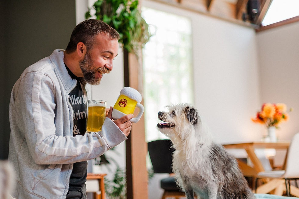 Thumbnail: P.L.A.Y. Hoppy Hound Brew Beer Dog Toy
