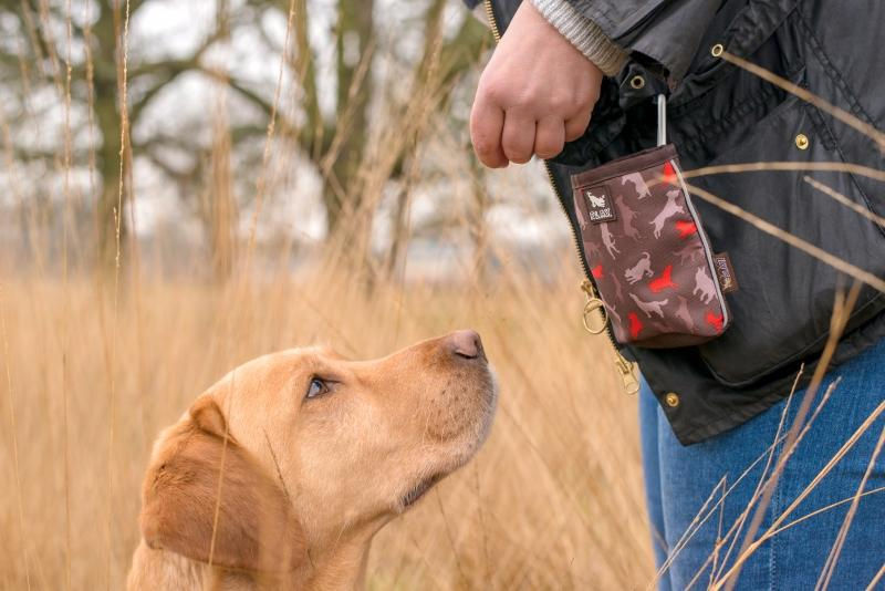 Thumbnail: P.L.A.Y. Compact Dog Training Pouch - Mocha