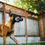 Thumbnail: P.L.A.Y. Yummy Yuletide Log Eco Dog Toy
