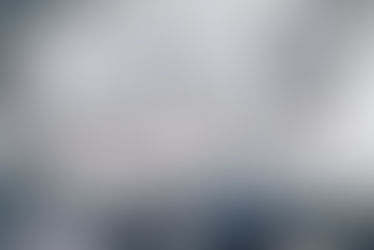 PLM PERSPECTIVE: FUTURE FEMALE FORWARD