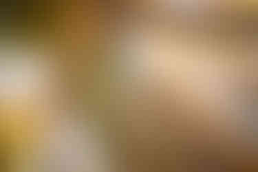 Fotografii Dino Parc Râșnov