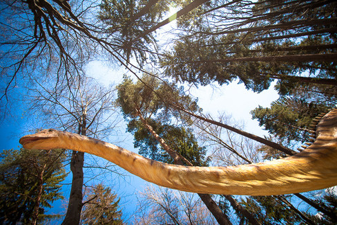 Fotografii Dino Parc Râșnov