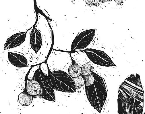 The Hobbit, Tolkien, Flora of Middle Earth, Plants, Gandalf, Bilbo, Elves, Fantasy, Lord of the Rings, Tolkien Illustration