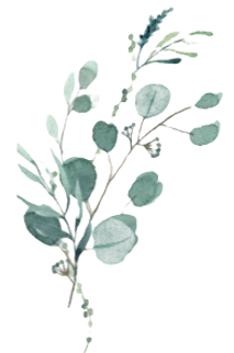 Blume 6_edited_edited.png