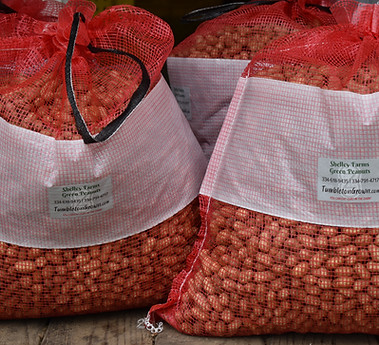 Shelly Farms Peanut