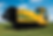 Rigw.logo.png