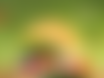 The Importance of Routine Blood Work