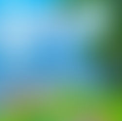 Who's to Blame (My Review of Culpability)