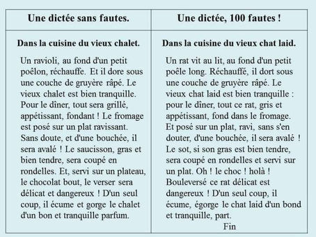 Chalet ou chat laid ?