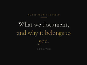 StroTek title card: What we document, and why it belongs to you