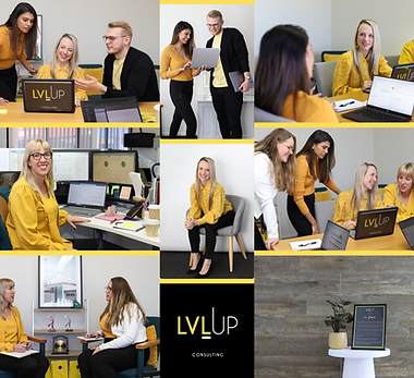 LVL Up Consulting grid with logo 3.png