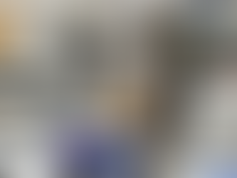 DISPERSOR DE SOLOS COMP VARIAVEL 10000 A 17000 RPM