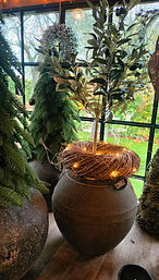 WhatsApp Image 2025-11-08 at 10.54.20 (2).jpeg