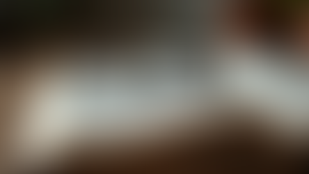 Celebrating Excellence in Literature