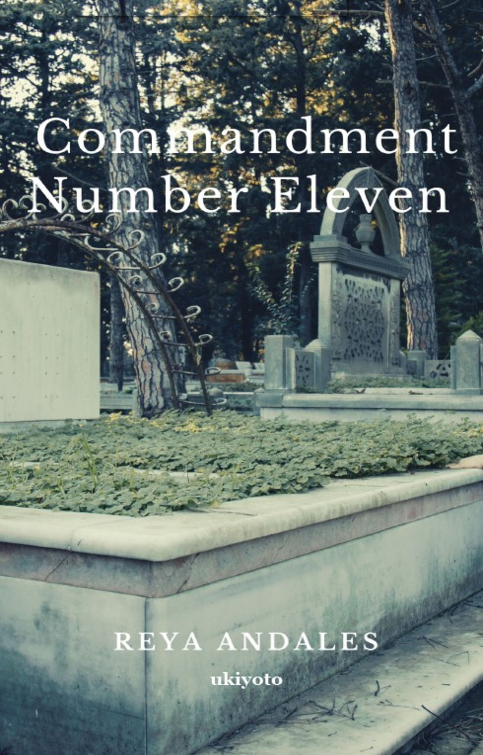 Commandment Number Eleven - Dust Jacket