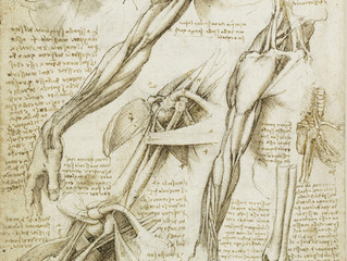 The Da Vinci Project, Part One. Basic Design Principles: Dynamic Opposition and Effortlessness in Na
