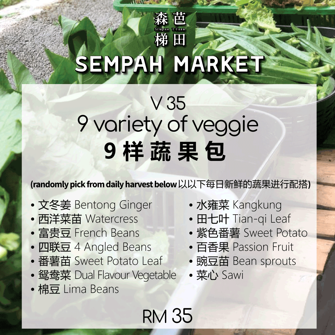 V35 Package