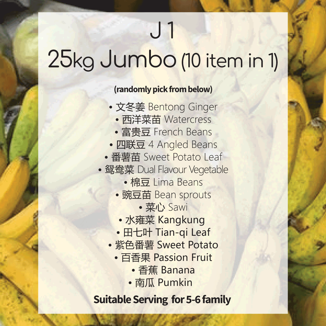 J1 Package