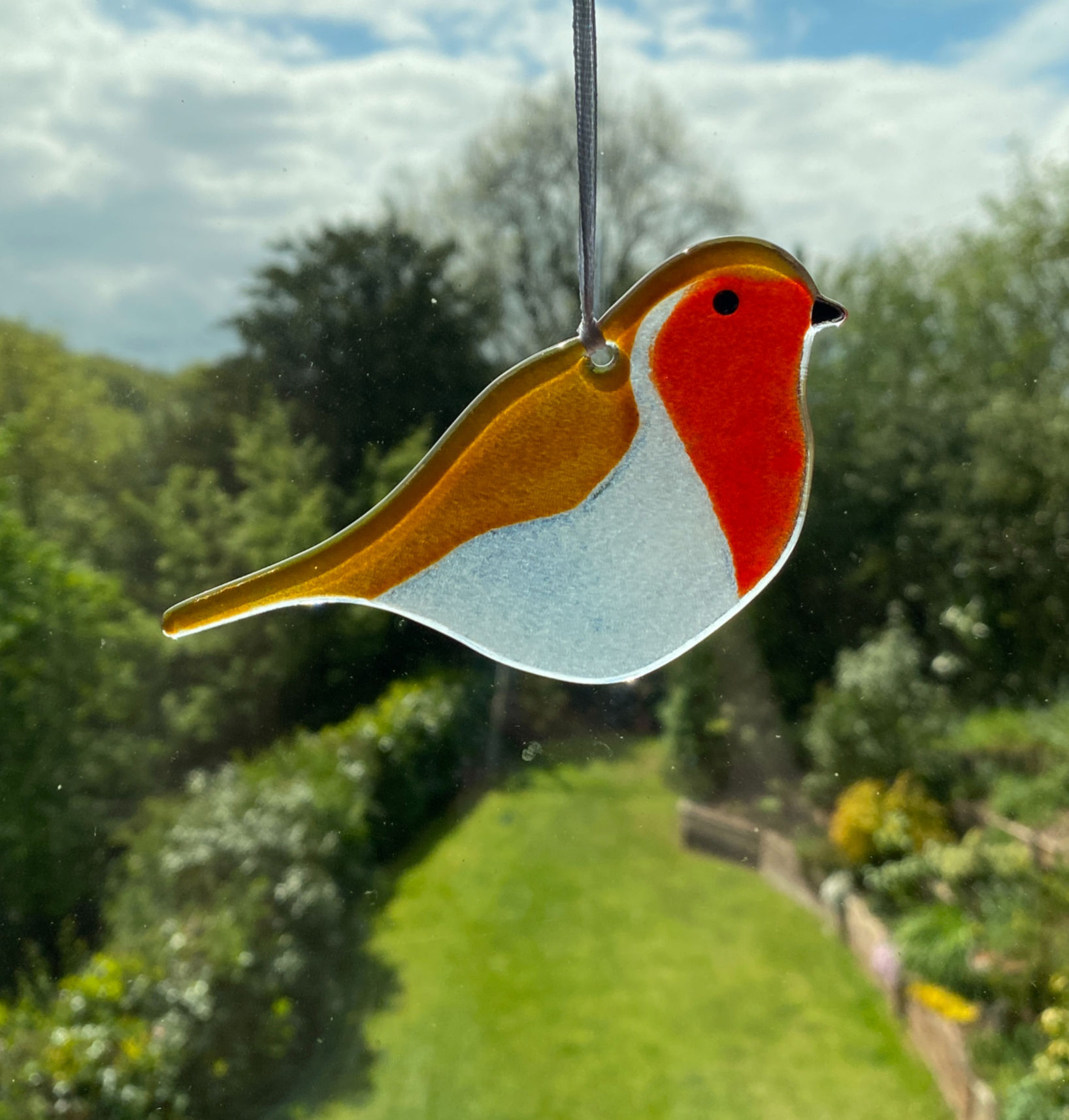 Robin