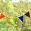 Thumbnail: Bunting