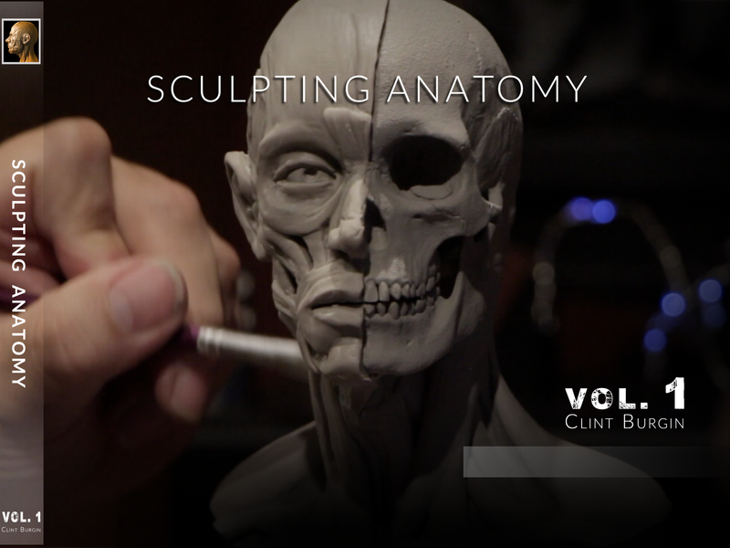 Head Anatomy, Sculpting, Anatomical, Muscle form, Head Study Guild. ClayBox Workshop, Sculpture, Clay, Human, Figure Sculpting, Fine art, 