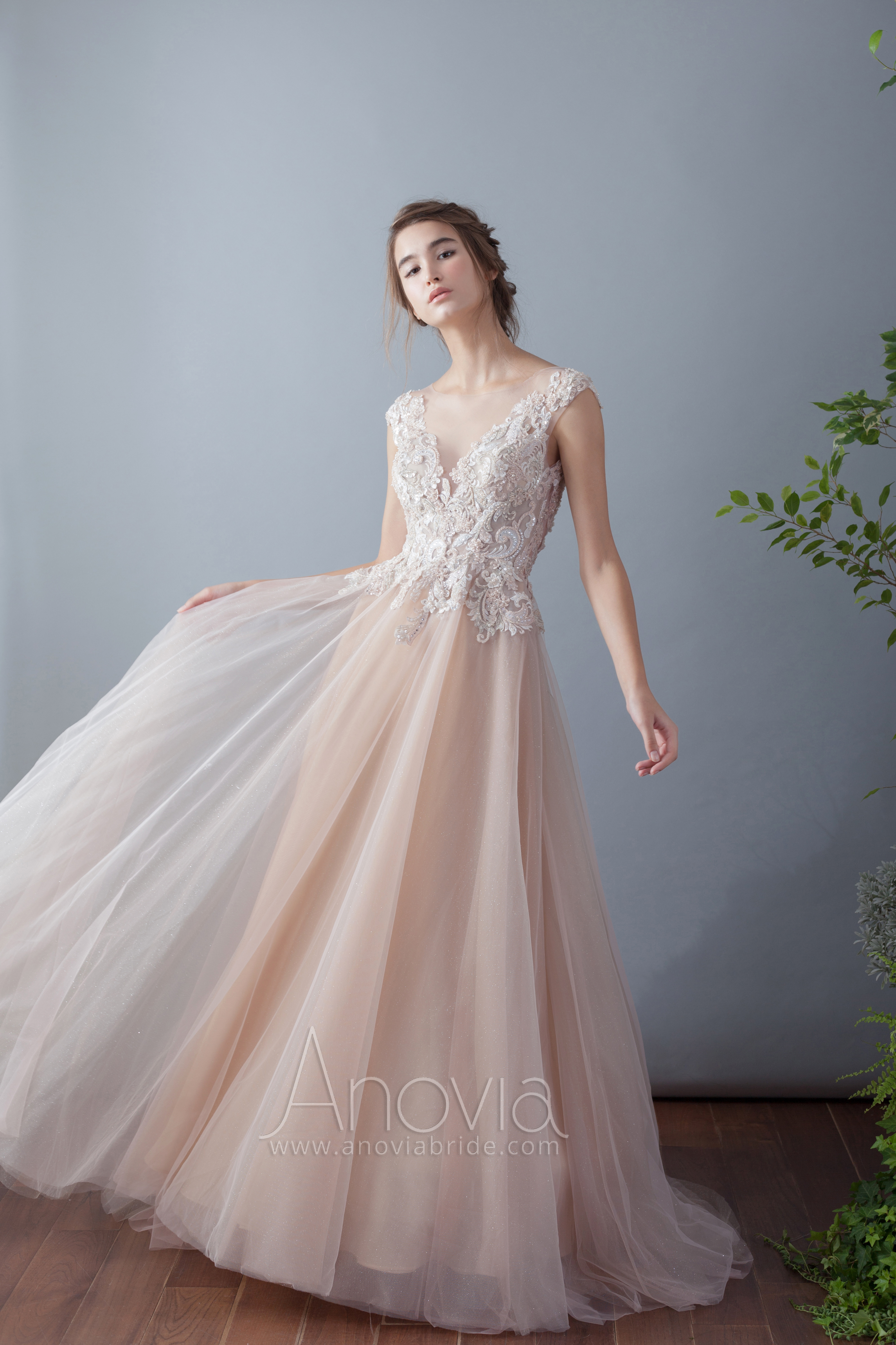 Anovia Cocktail Collection