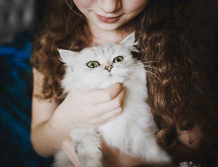 Women petting a White Cat